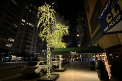 Neary's Restaurant, New York City
